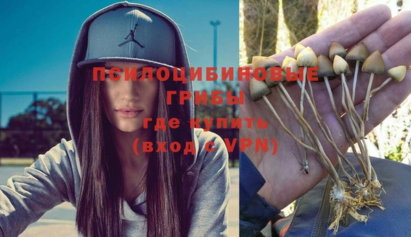 гидра Алзамай