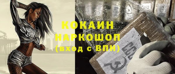 apvp Алексин