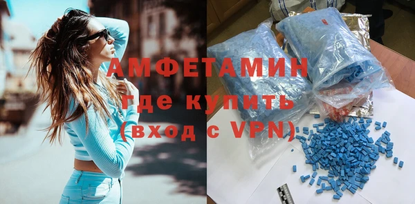 индика Кулебаки