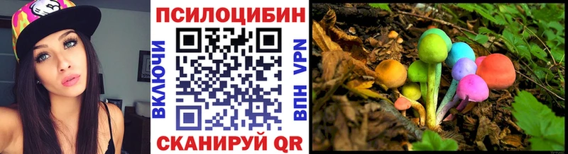 купить  сайты  Нефтекумск  Галлюциногенные грибы Magic Shrooms 