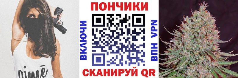 где найти наркотики  Нефтекумск  Бошки марихуана индика 